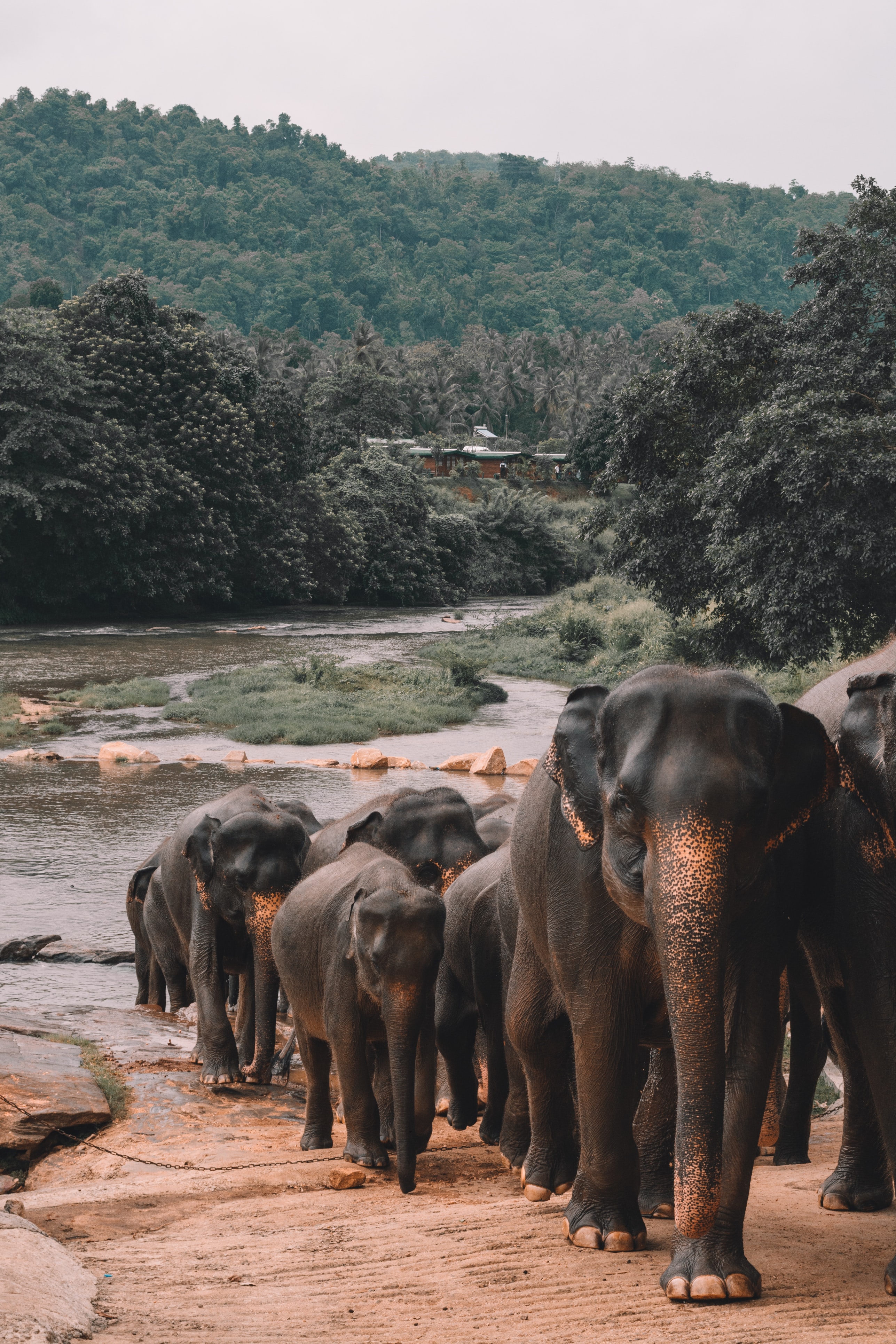 Why Book With Oobro Travel